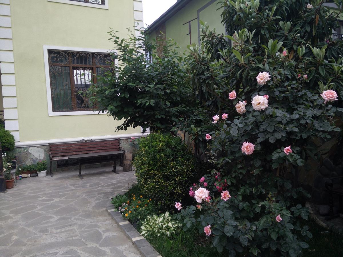 Hotel Mimino Tbilisi Esterno foto